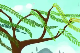 碧玉妆成一树高，万条垂下绿丝绦。唐诗精读：《咏柳》视频封面