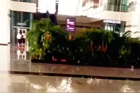 当你穿过了暴风雨，你就不再是原来那个人。—— 村上春树视频封面