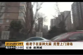 真会玩儿：北京一男子居然在家种大麻，自产自吸视频封面
