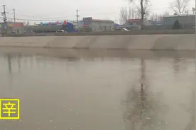 河北石津灌区 南水北调石津干渠辛集段开始供水了！