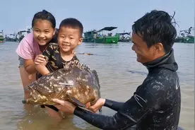 比小孩还大的巨石斑！外海打鱼空手回港，帮忙打捞船锚后走大运！视频封面