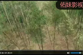 《战神传说》：一部让刘德华破产的电影，现在看确实有点虎头蛇尾视频封面