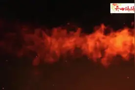 假如平头哥蜜獾有狮子的体型，打得过狮子老虎，地球还有对手吗？视频封面