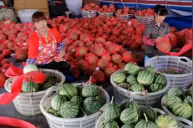 广东大棚种植100亩反季节西瓜40天就能上市、享补贴亩产利润可观视频封面