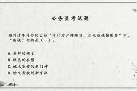 千门万户曈曈日，总把新桃换旧符？？新桃是指什么?90%人不知道？视频封面