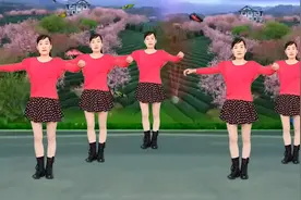 广场舞《酒醉的蝴蝶》网红版，32步有教学图片