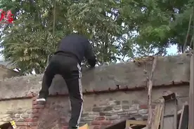 青岛捣毁“全能神”特大犯罪集团！剿灭邪教集团过程全揭秘视频封面