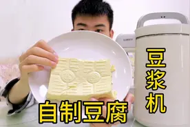 豆腐原来是这样做出来的，胡途用豆浆机自制豆腐，太好吃了视频封面