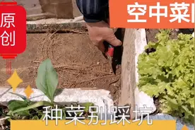 楼顶种菜对楼房有影响吗？别踩这两个坑就没问题，种菜5年谈视频封面
