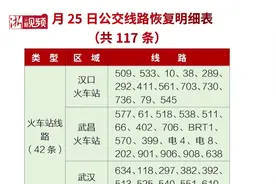 武汉恢复117条公交运营 武汉居民可凭绿码乘公交视频封面