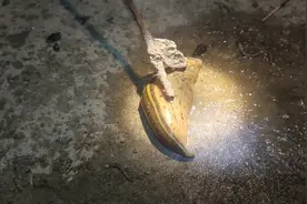 都说蚂蝗不怕水煮，不怕火烧是真的吗？