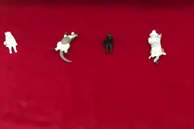 塔罗占卜 ：他的新心里有没有我，他现在真实的想法！准到哭！视频封面
