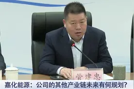 嘉化能源：公司的其他产业链未来有何规划？视频封面