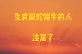 特好消息：生肖属蛇和猪和牛的人有福了，不妨来看看视频封面