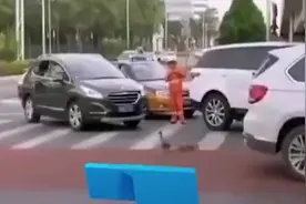 鸭妈妈带孩子排队过马路，交警暖心护送图片