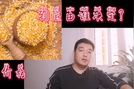 粮食价格到底由谁来决定？农民辛苦种一年卖不上钱，怎么办？视频封面
