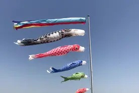 最近经常看到“挂鱼”图片