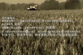河南濮阳铁麦客跨区收麦1视频封面
