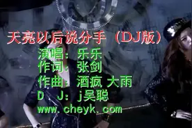 乐乐-天亮以后说分手DJ版-国语视频封面