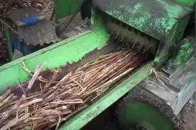 印度甘蔗进入糖厂压榨的过程，没想到工艺并不复杂视频封面