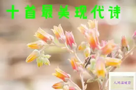 10首最美现代诗，总有一首触动你的心弦！视频封面