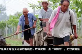 农家肥才是真正绿色无污染有机肥，加一点“添加剂”，肥效就翻倍视频封面