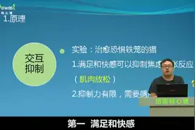 害怕考试吗？用科学的心理学疗法一起来突破吧！（5）-51心理学院视频封面