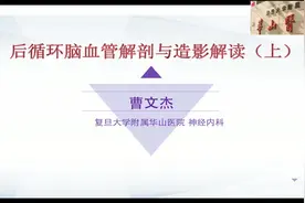 大脑后动脉、丘脑供血动脉血管解剖和造影解读视频封面