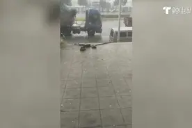 炎热八月天，长沙居然下冰雹啦！视频封面