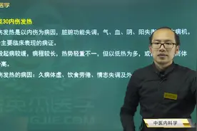 中医内科学30内伤发热：病因、7种辨证论治，3分钟快速带你学习完视频封面