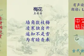 梅花 - 古诗词配乐朗诵与释义视频封面