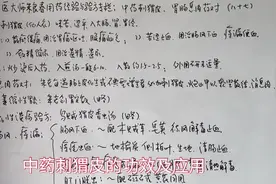 中药刺猬皮的功效及应用视频封面