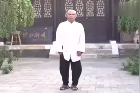 传统武术，雷雷练太极“摇头摆尾拳”，是被徐老师打出后遗症了？视频封面
