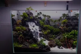60cm的缸中做出高山流水，好又意境视频封面