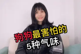 狗狗最害怕的5种气味视频封面