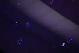 孙子涵-毕业后你不是我的视频封面