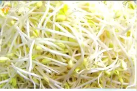 注意了！销售3种不合格豆芽 海口这些菜摊被罚视频封面