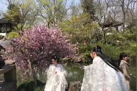 五分钟速览江南四大名园之首、世界遗产拙政园风光#嗨翻四月天#视频封面