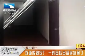 一阵风后墙倒了！原因太荒唐，墙体竟用双面胶粘贴视频封面