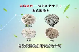 望京医院肿瘤专家朱世杰：海花调肺方在肿瘤治疗中的作用和地位！视频封面