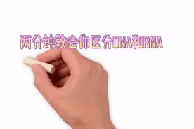 袁老师两分钟教会你区分DNA和RNA？视频封面