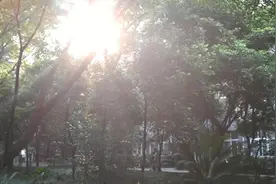 是时候展现这个无聊世界有趣的一面了视频封面
