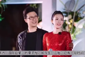 汪峰不再背锅！章子怡生“二胎”原因被曝光，网友：这女人太拼了视频封面