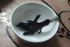 买鸡的时候没注意看，乌鸡是五个脚趾的吗？难道是打激素的？视频封面