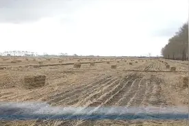 齐市龙江县华民乡加快秸秆离田 备战春耕生产视频封面