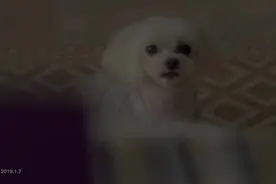LUNA朴善怜《再见》MV首播 超唯美的月神视频封面