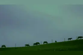 于水_格格-陪你去看草原海视频封面