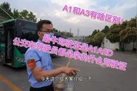 开公交车的师傅都拿的什么驾照！今天听两位公交师傅说道说道！视频封面