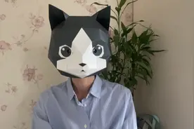 河北民政局发布婚姻改革工作通知，石家庄某物业停水停电威胁业主视频封面