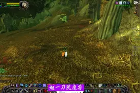 魔兽世界怀旧服猎人宠物之费伍德森林稀有猫头鹰“智者奥尔姆”